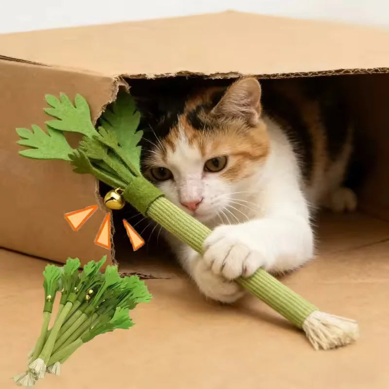 Catnip Molar Stick — Dental Chew Toy for Cats