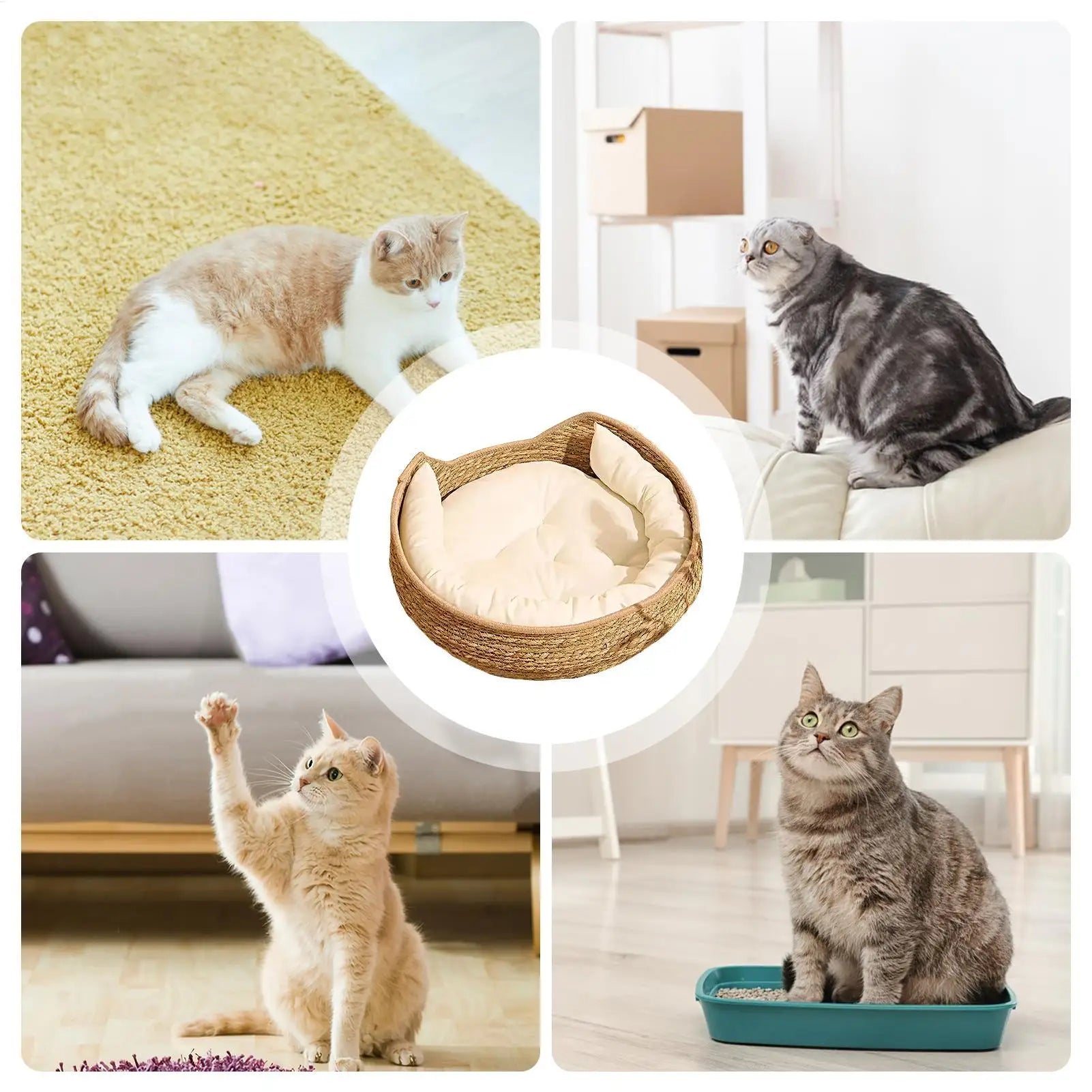 Cat Basket Bed