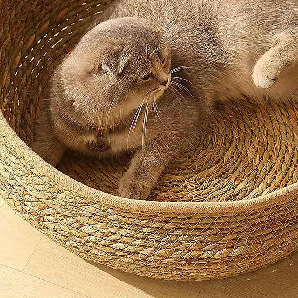 Cat Basket Bed