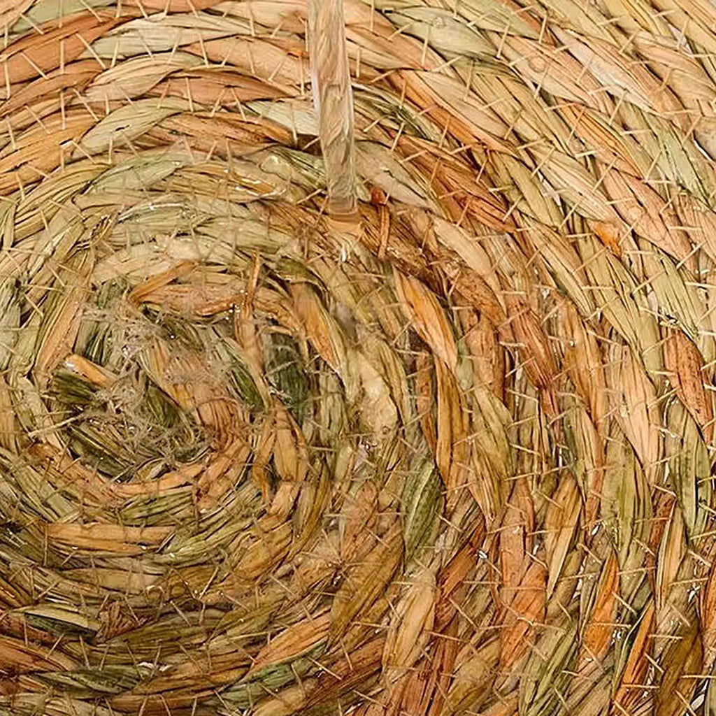 Cat Basket Bed