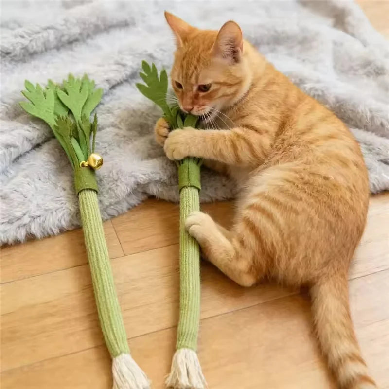 Catnip Molar Stick — Dental Chew Toy for Cats
