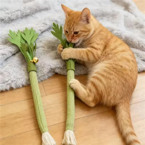 Catnip Molar Stick — Dental Chew Toy for Cats