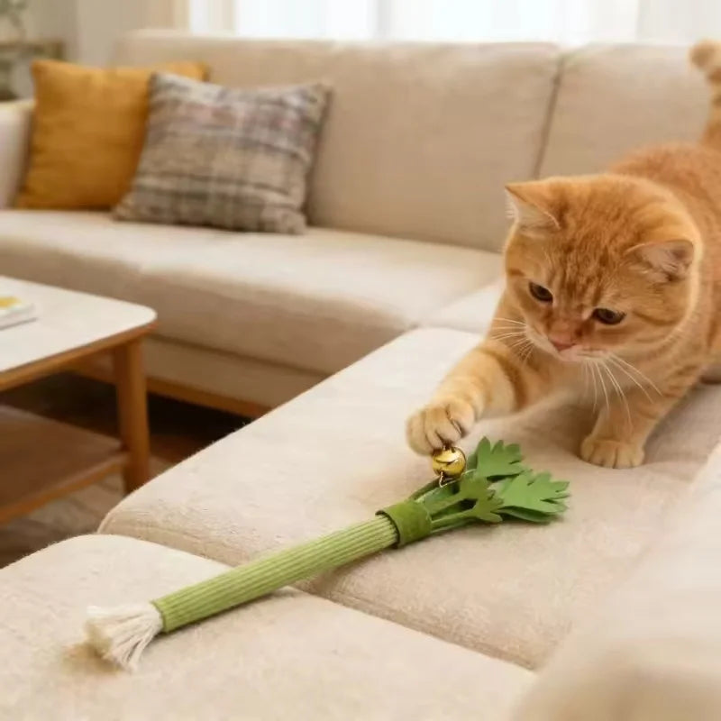 Catnip Molar Stick — Dental Chew Toy for Cats